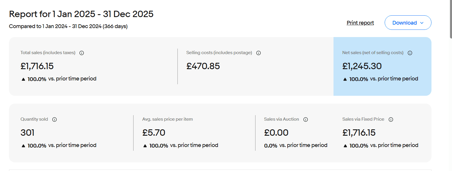 eBay Store Growth: Listings, Sales and Operations performance evidence